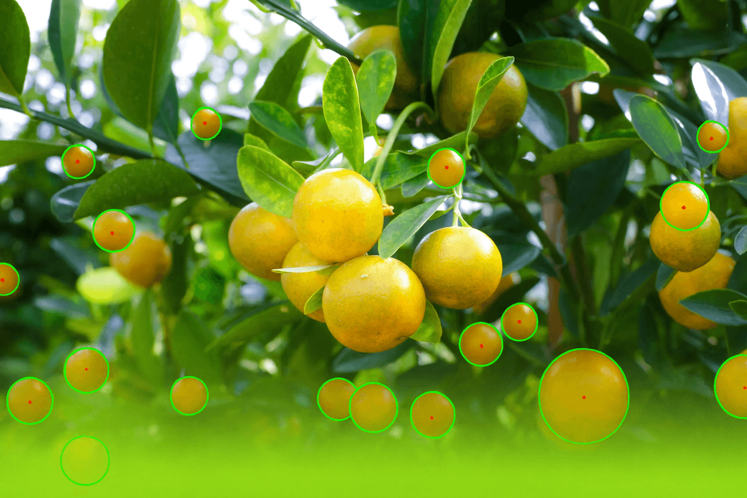 Output comparison reference