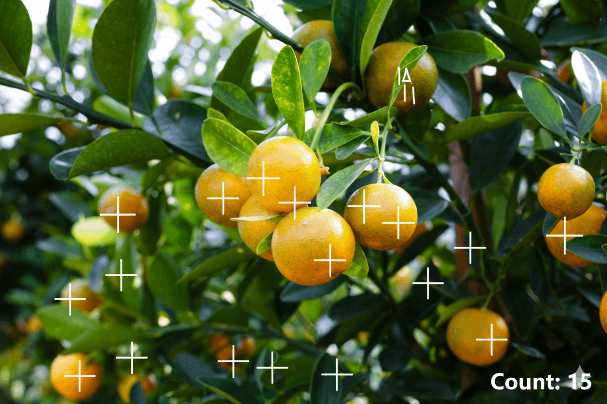 Output comparison reference