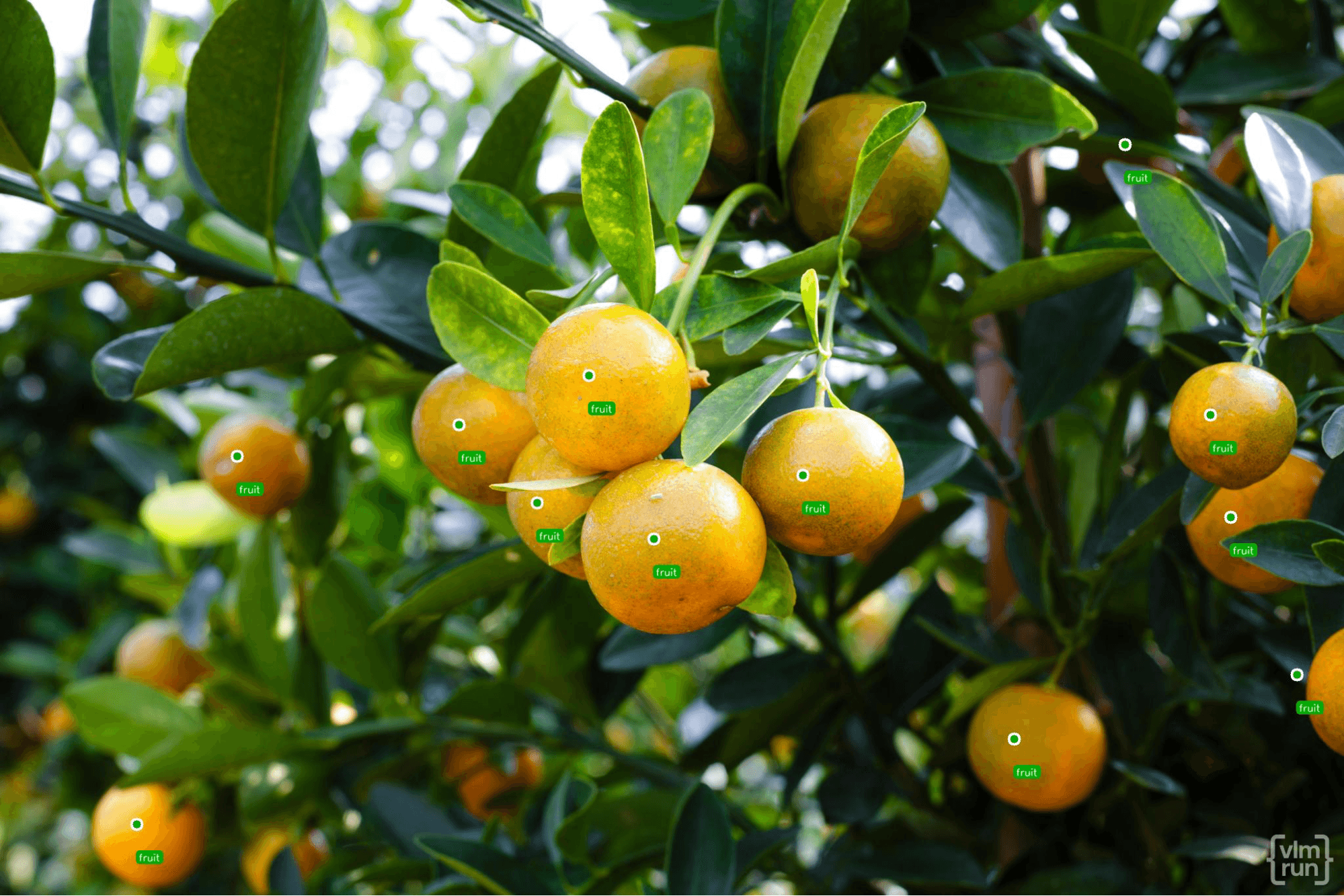 Output comparison reference