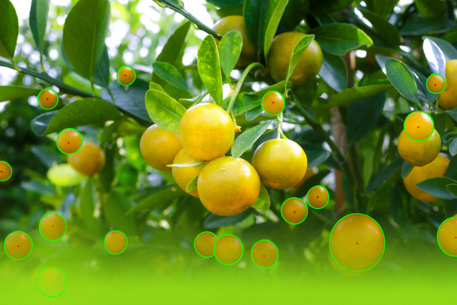 Output comparison reference