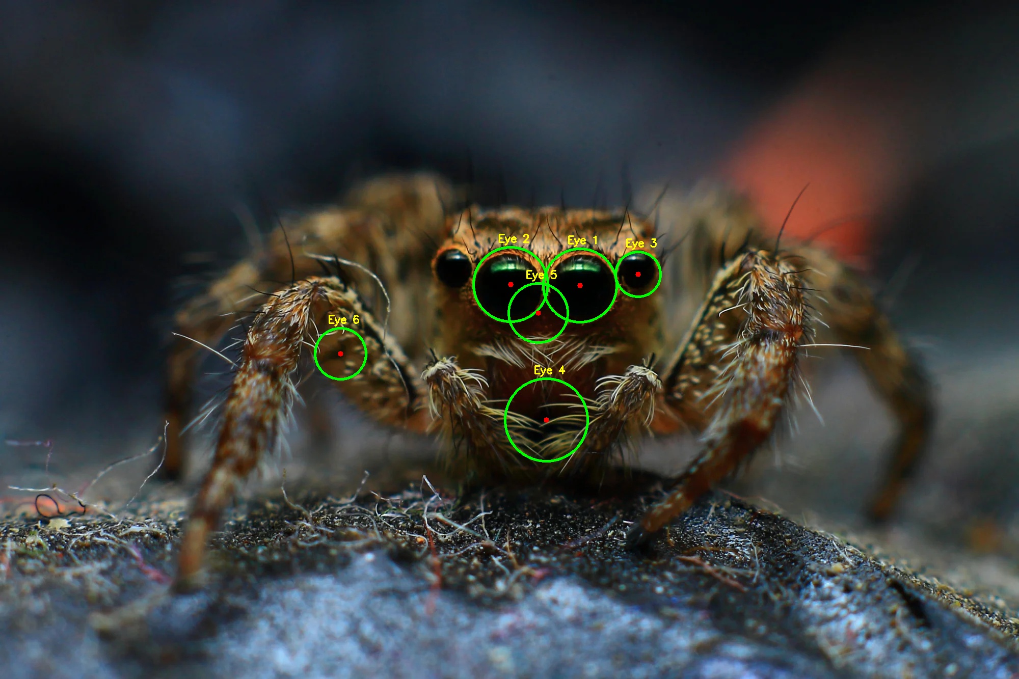 Output comparison reference