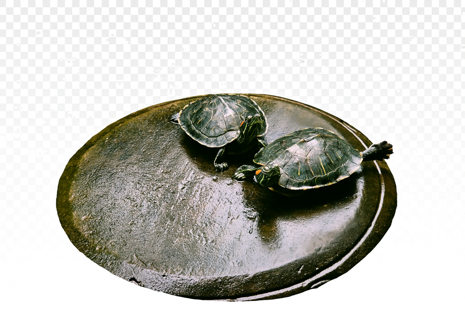 Output comparison reference